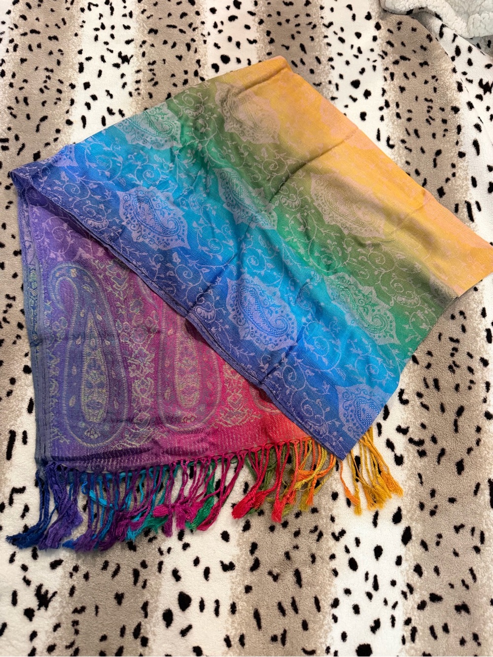 Rainbow Paisley Ombre Fringe Scarf - Multicolor